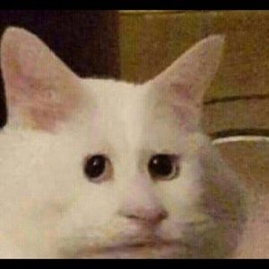 Meet your Posher, Cael